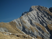 Dal Rif. Capanna 2000 al Passo di Valmora e in Cima Camplano il 27 novembre 2011 - FOTOGALLERY